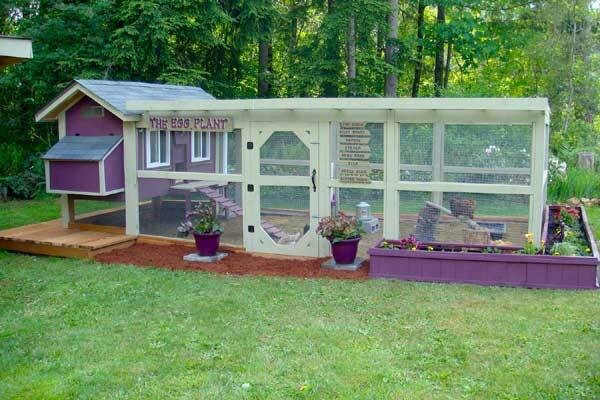Amazing Guinea Pig Homes The Reading Residence Amazing Guinea Pig Homes The Reading Residence
